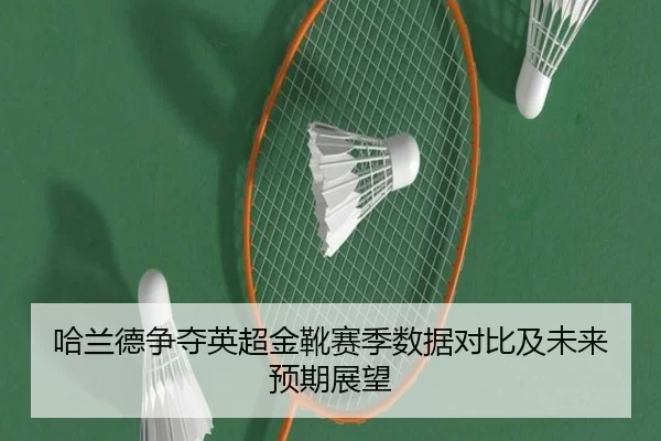 哈兰德争夺英超金靴赛季数据对比及未来预期展望