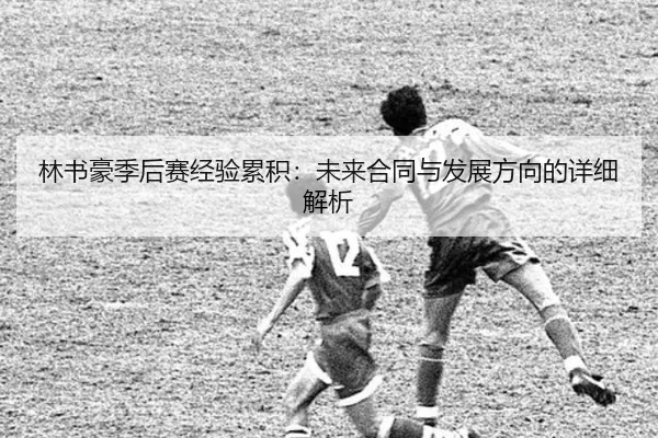 林书豪季后赛经验累积：未来合同与发展方向的详细解析